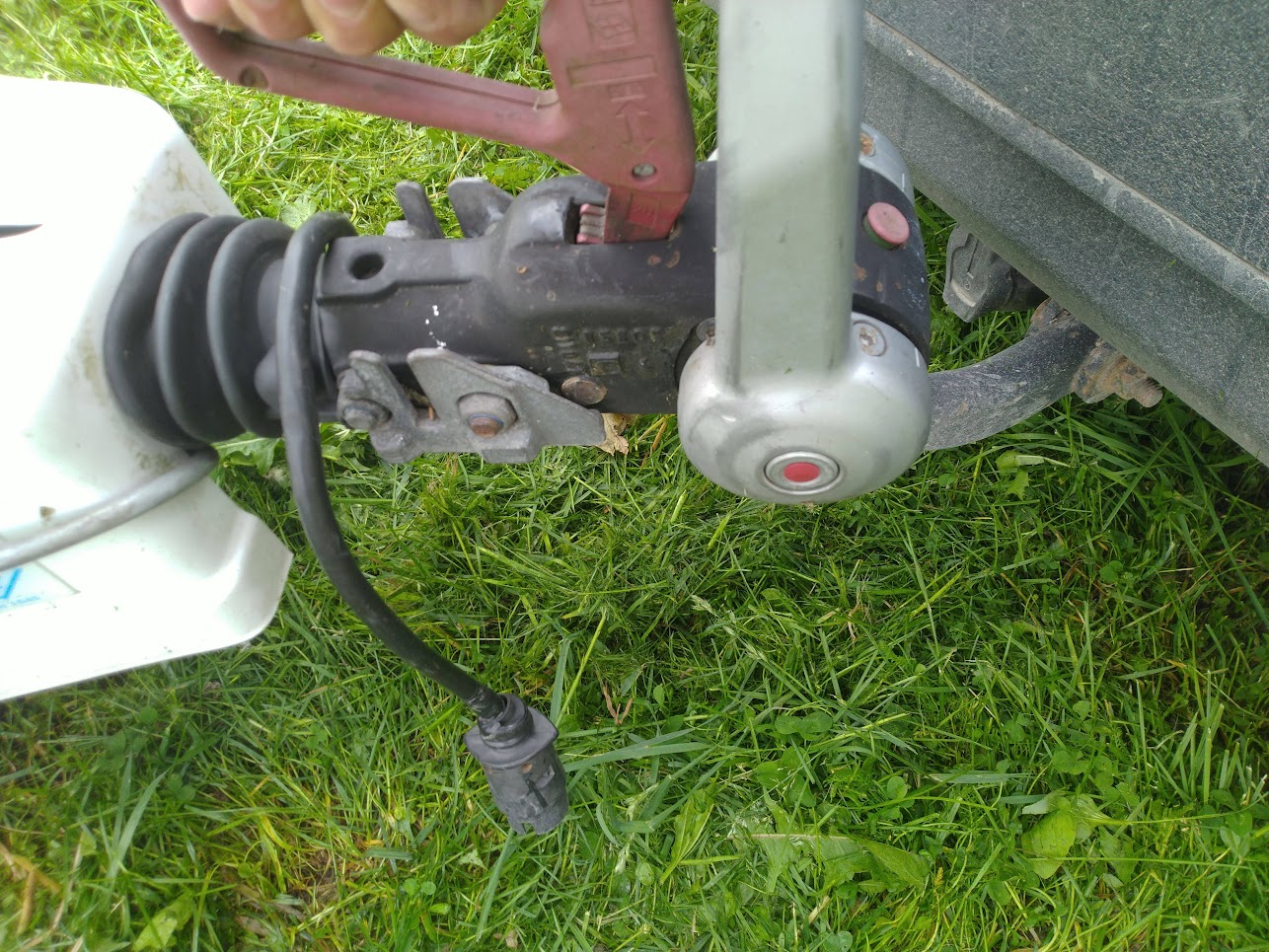 image-1750249668079.jpg